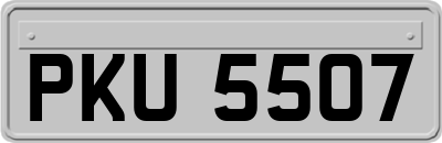 PKU5507
