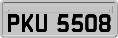 PKU5508
