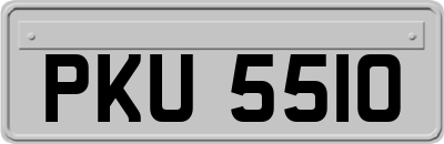 PKU5510