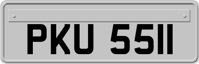 PKU5511
