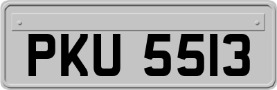 PKU5513