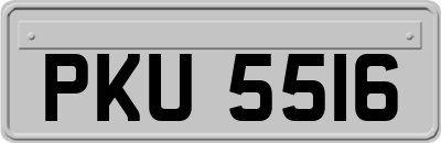 PKU5516
