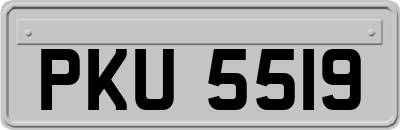 PKU5519
