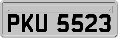 PKU5523