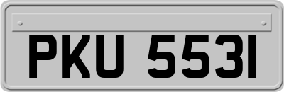 PKU5531