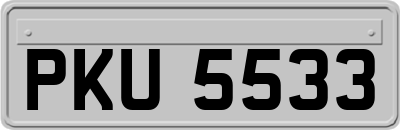 PKU5533