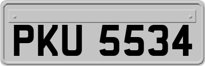 PKU5534
