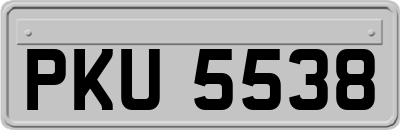 PKU5538