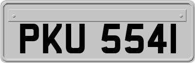 PKU5541