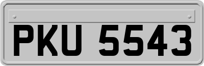 PKU5543