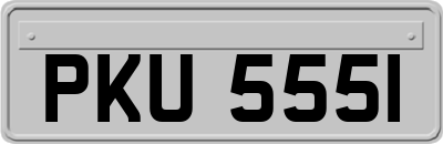 PKU5551