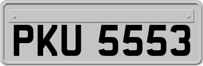PKU5553