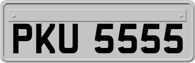 PKU5555