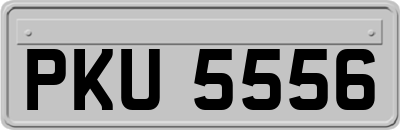 PKU5556