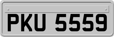 PKU5559
