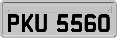 PKU5560