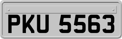 PKU5563