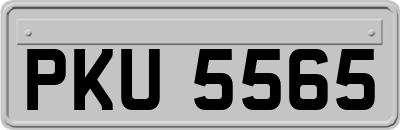 PKU5565