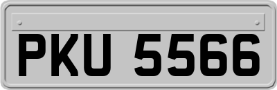 PKU5566