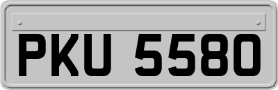 PKU5580