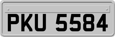PKU5584