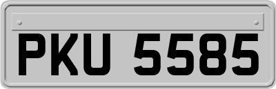 PKU5585