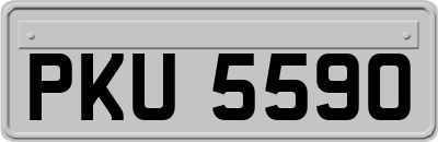 PKU5590
