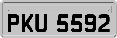 PKU5592
