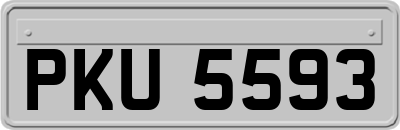 PKU5593