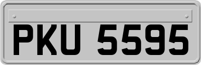 PKU5595