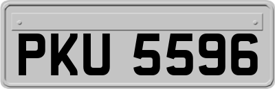 PKU5596