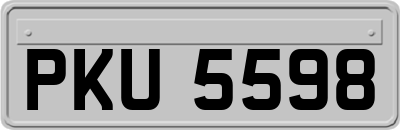 PKU5598