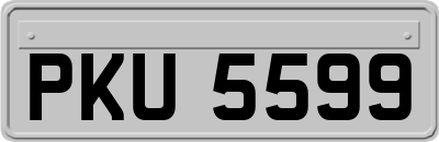 PKU5599