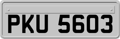 PKU5603