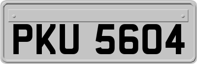 PKU5604