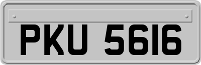 PKU5616