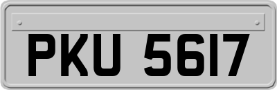 PKU5617