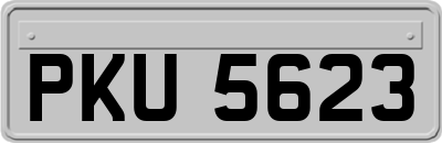 PKU5623