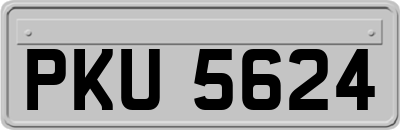PKU5624