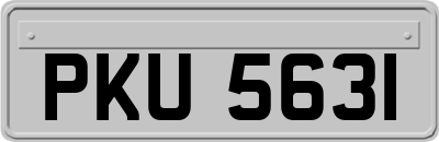 PKU5631