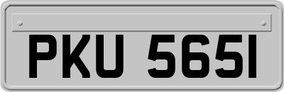 PKU5651