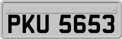 PKU5653