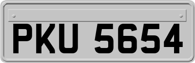 PKU5654