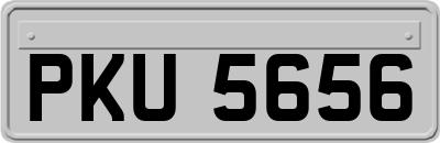 PKU5656