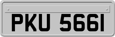 PKU5661