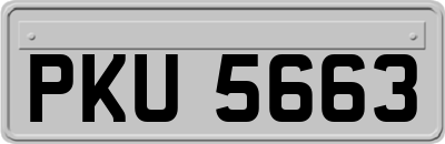 PKU5663
