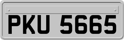 PKU5665