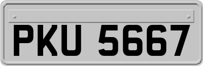 PKU5667