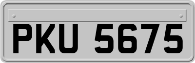 PKU5675
