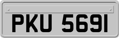 PKU5691